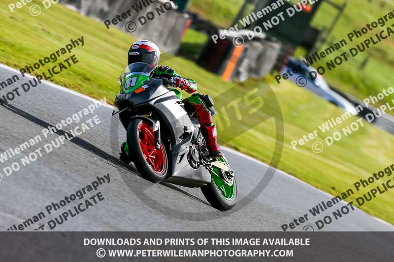 Oulton Park 14th March 2020;PJ Motorsport Photography 2020;anglesey;brands hatch;cadwell park;croft;donington park;enduro digital images;event digital images;eventdigitalimages;mallory;no limits;oulton park;peter wileman photography;racing digital images;silverstone;snetterton;trackday digital images;trackday photos;vmcc banbury run;welsh 2 day enduro